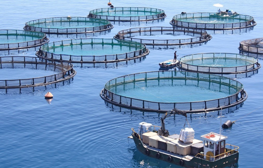 農(nóng)業(yè)漁業(yè)